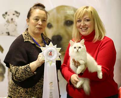 �������� ����� 18-19 ������� 2014 WCF-����� 5-86-169A3116 copy.jpg